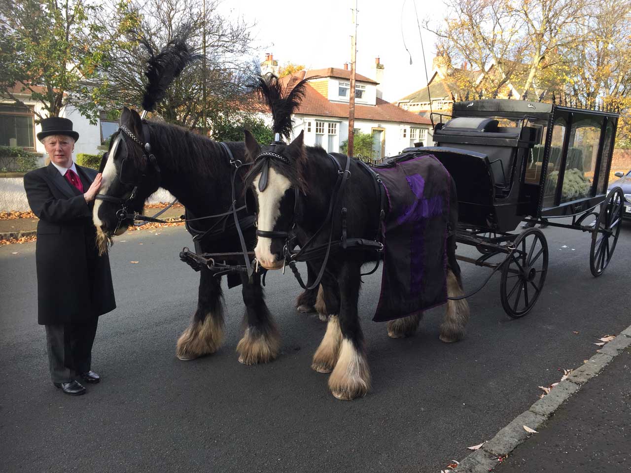 Funeral Horses